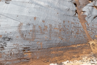 Petroglyphs Canyonlands NP June 2025
